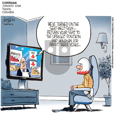 Views of the World on Thursday November 27, 2008 Comic Strip