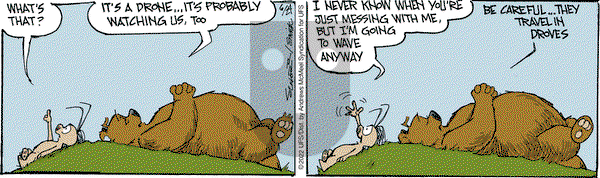 The Grizzwells - Friday June 24, 2022 Comic Strip