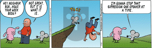 Pearls Before Swine on Saturday July 12, 2014 Comic Strip
