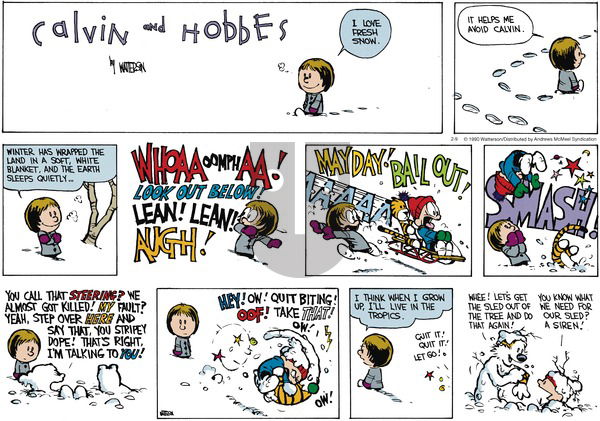 Calvin and Hobbes - Sunday February 9, 2020 Comic Strip