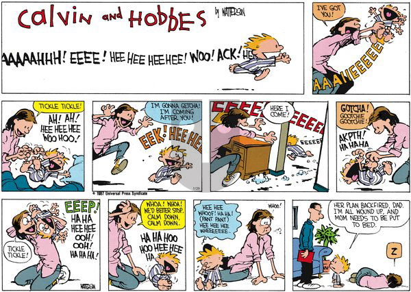 Calvin and Hobbes - Sunday January 29, 2012 Comic Strip