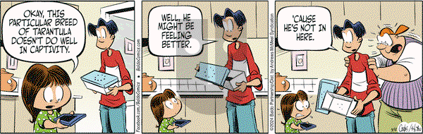 Baldo - Wednesday September 18, 2024 Comic Strip