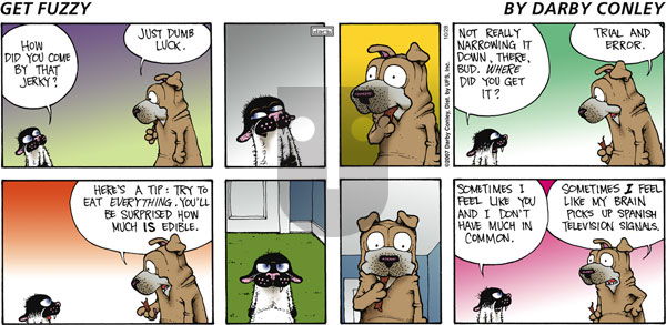 Get Fuzzy on Sunday October 28, 2007 Comic Strip