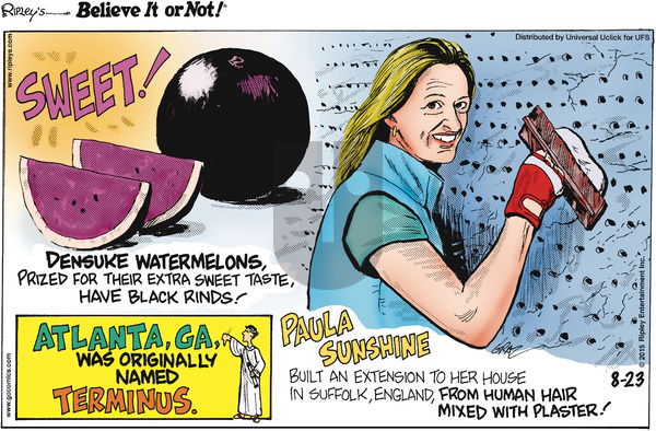 Ripley's Believe It or Not on Sunday August 23, 2015 Comic Strip