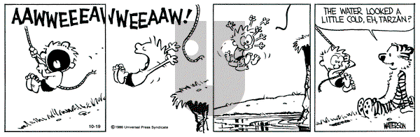 Calvin and Hobbes on Saturday October 19, 1991 Comic Strip
