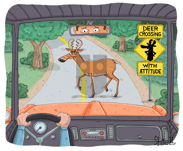 The Wandering Melon on Monday July 17, 2023 Comic Strip