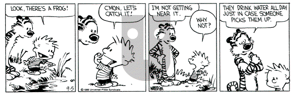 Calvin and Hobbes on Friday September 5, 1986 Comic Strip