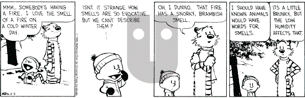 Calvin and Hobbes - Monday February 13, 1995 Comic Strip