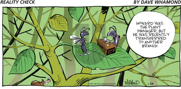 Reality Check on Sunday January 29, 2017 Comic Strip
