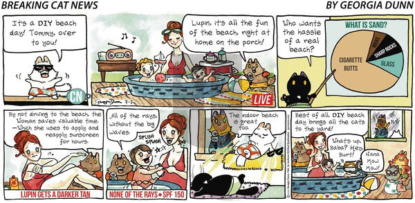 Breaking Cat News on Sunday July 7, 2019 Comic Strip