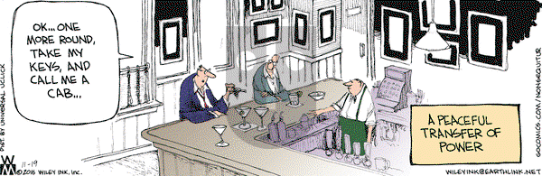 Non Sequitur on Saturday November 19, 2016 Comic Strip