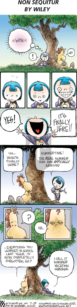 Non Sequitur on Sunday July 25, 2010 Comic Strip