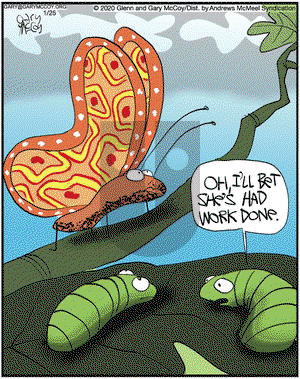 The Flying McCoys on Saturday January 25, 2020 Comic Strip