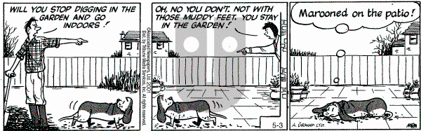 Fred Basset on Thursday May 3, 2001 Comic Strip