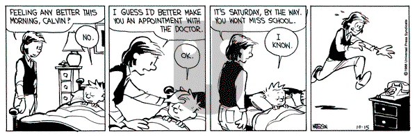 Calvin and Hobbes on Saturday October 15, 1988 Comic Strip
