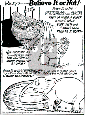 Ripley's Believe It or Not on Saturday July 24, 1999 Comic Strip