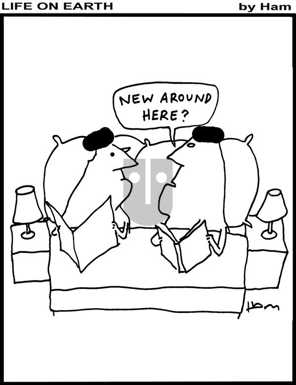 Life on Earth - Saturday December 9, 2023 Comic Strip