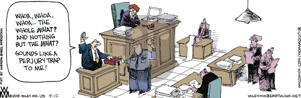 Non Sequitur on Wednesday September 12, 2018 Comic Strip