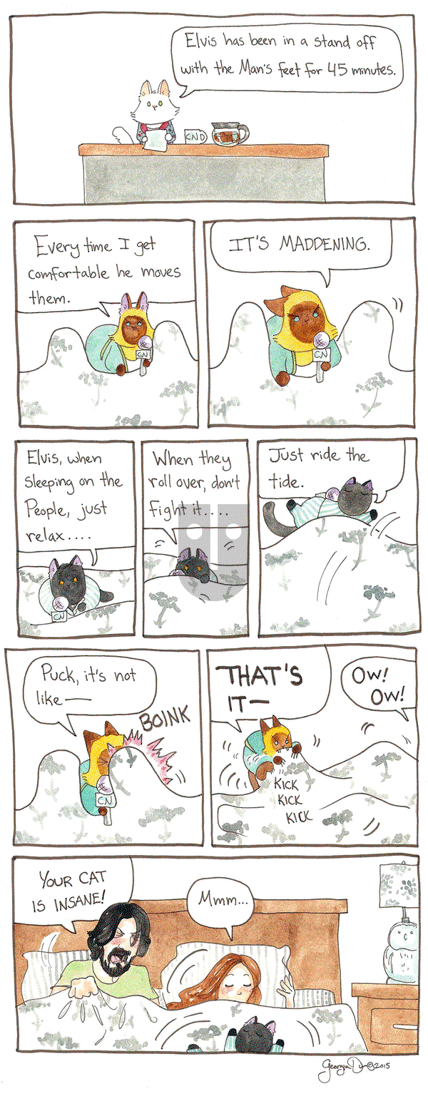 Breaking Cat News on Monday September 14, 2015 Comic Strip