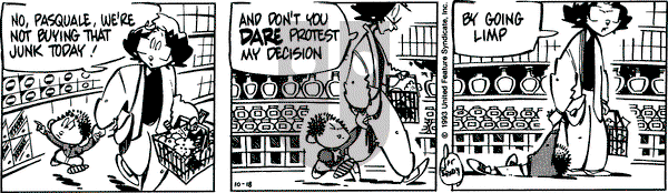 Rose is Rose on Monday October 18, 1993 Comic Strip