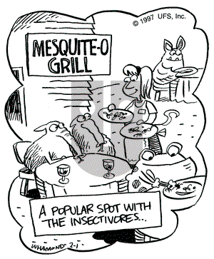 Reality Check on Saturday February 1, 1997 Comic Strip