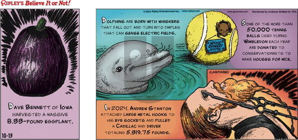 Ripley's Believe It or Not - Sunday October 13, 2024 Comic Strip