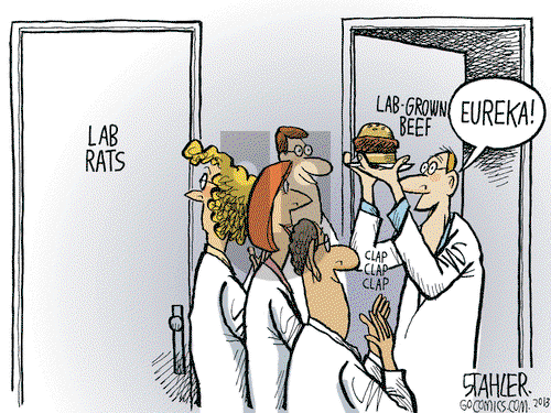 Jeff Stahler on Thursday August 8, 2013 Comic Strip
