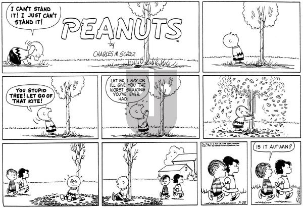 Peanuts on Sunday July 28, 1957 Comic Strip