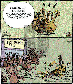 Reality Check on Friday November 27, 2015 Comic Strip