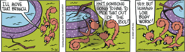 Rose is Rose on Tuesday July 14, 2020 Comic Strip
