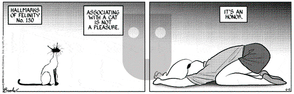 9 Chickweed Lane - Wednesday June 12, 2002 Comic Strip