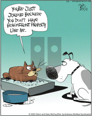 The Flying McCoys on Tuesday May 5, 2020 Comic Strip