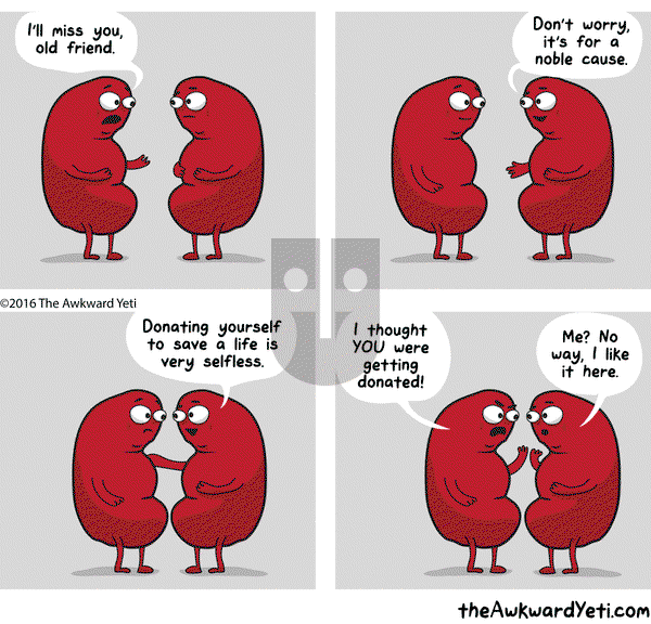 The Awkward Yeti on Tuesday May 17, 2016 Comic Strip