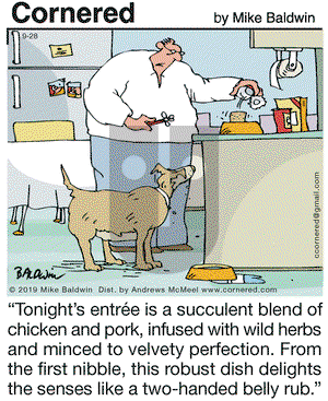 Cornered on Saturday September 28, 2019 Comic Strip