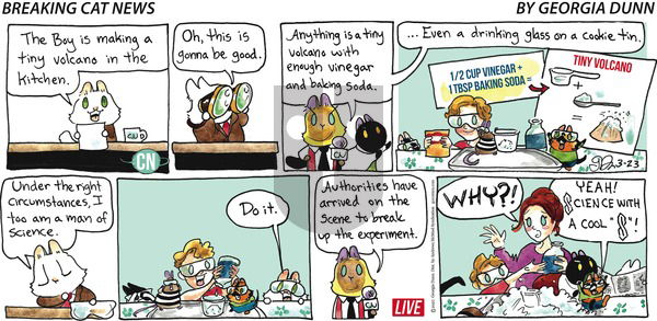 Breaking Cat News on Sunday March 23, 2025 Comic Strip