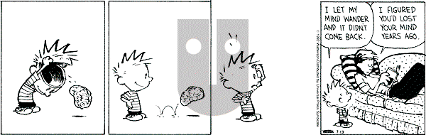 Calvin and Hobbes - Monday July 13, 1992 Comic Strip