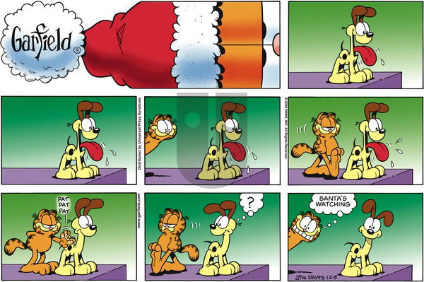 Garfield on Sunday December 5, 2004 Comic Strip