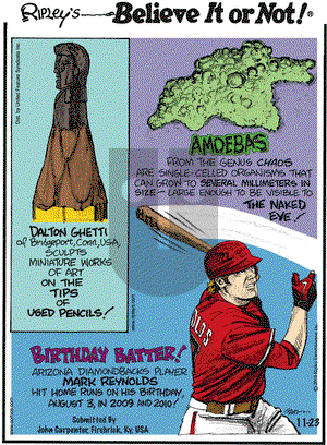 Ripley's Believe It or Not on Tuesday November 23, 2010 Comic Strip