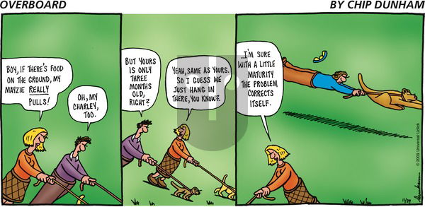 Overboard on Sunday November 29, 2009 Comic Strip