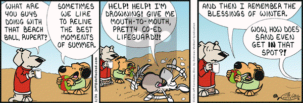DeFlocked on Friday January 31, 2020 Comic Strip