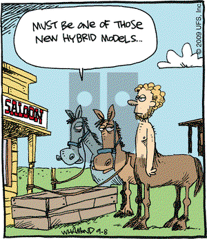 Reality Check on Thursday December 17, 2009 Comic Strip