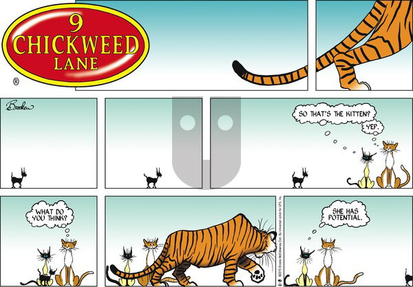9 Chickweed Lane on Sunday February 8, 2015 Comic Strip