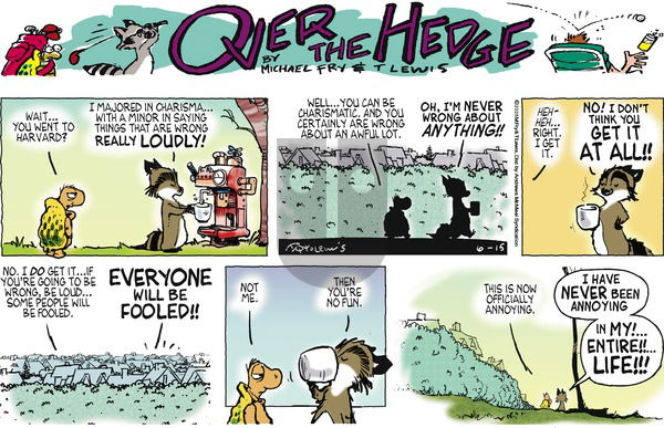 Over the Hedge on Sunday June 15, 2025 Comic Strip