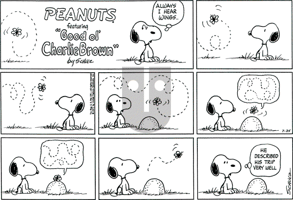 Peanuts - Sunday July 25, 1971 Comic Strip