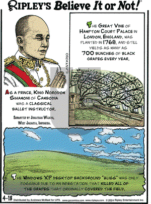 Ripley's Believe It or Not - Thursday April 18, 2024 Comic Strip