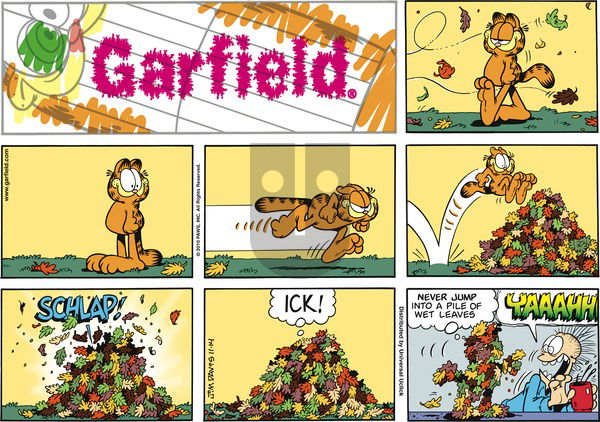 Garfield on Sunday November 14, 2010 Comic Strip