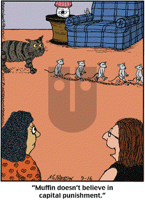 Close to Home on Monday September 16, 2024 Comic Strip