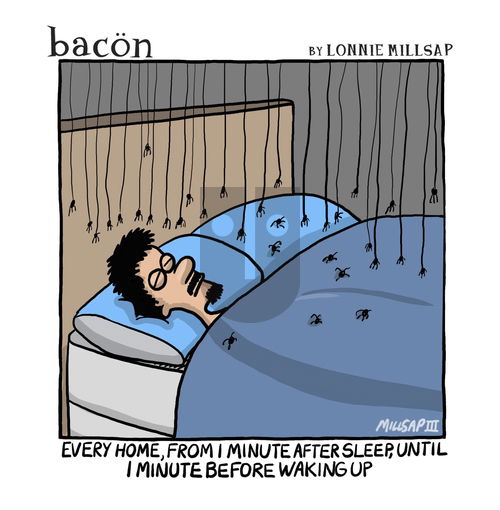 bacon on Wednesday February 19, 2025 Comic Strip