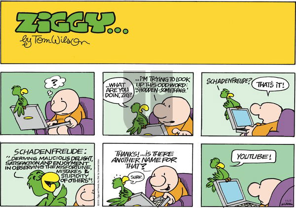 Ziggy on Sunday November 7, 2010 Comic Strip
