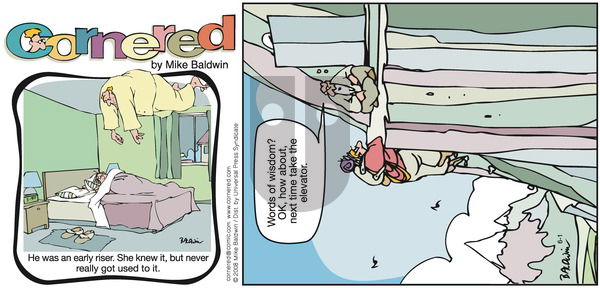 Cornered on Sunday June 1, 2008 Comic Strip